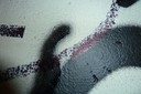 Detail des 2. Hakenkreuzes