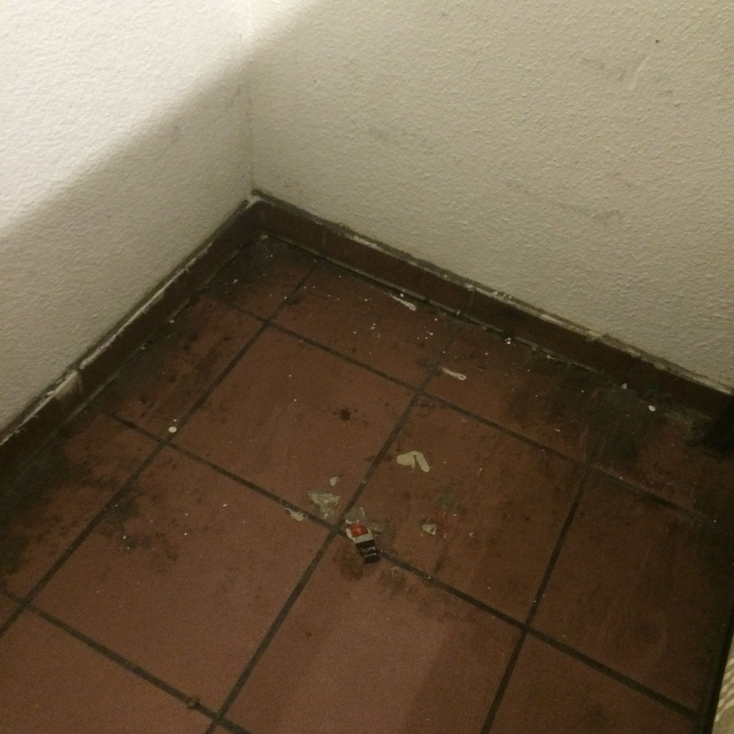 Last cleaning is long ago