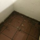 Last cleaning is long ago