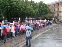 Siemens Softwerker protestieren in Wien