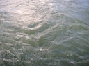 Privatisierung von Wasser