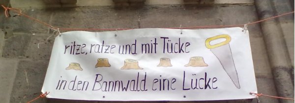 Nürnberger Bannwald oder Flughafen-Zubringer